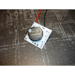 Module Allumage Fictif (côté pile ;-) )